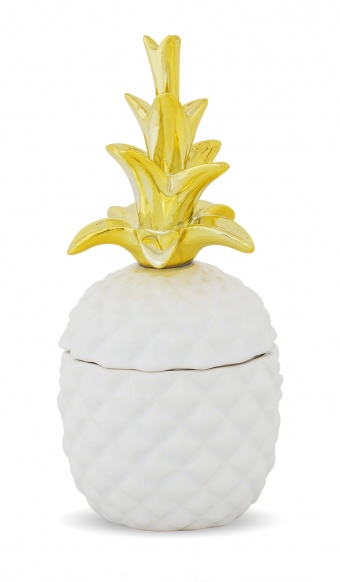 Kontejner s ananasem