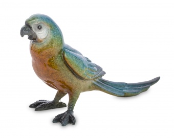 Dekorace-papoušek