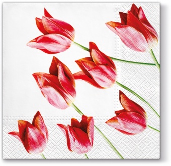 Pl ubrousky červené tulipány