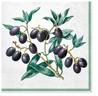 En ubrousky olivy s rámem